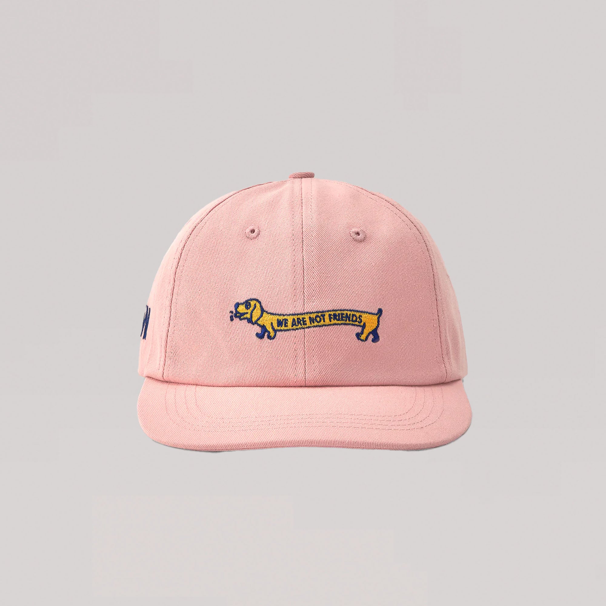 WE ARE NOT FRIENDS - DOGGY HAT