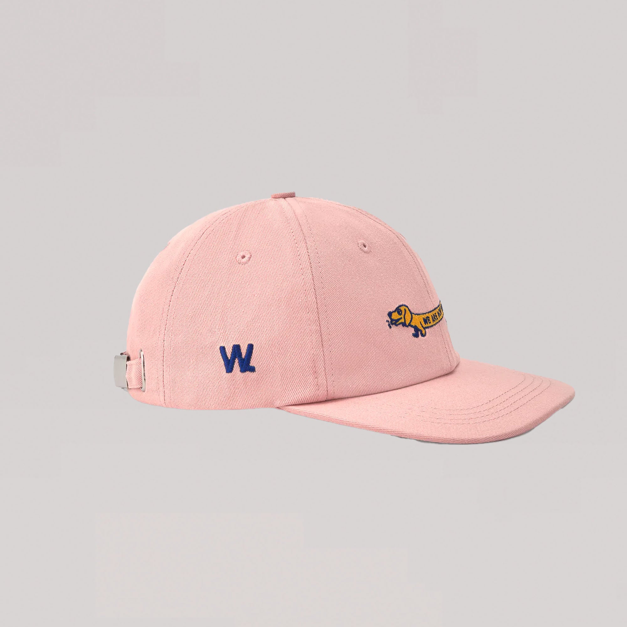 WE ARE NOT FRIENDS - DOGGY HAT