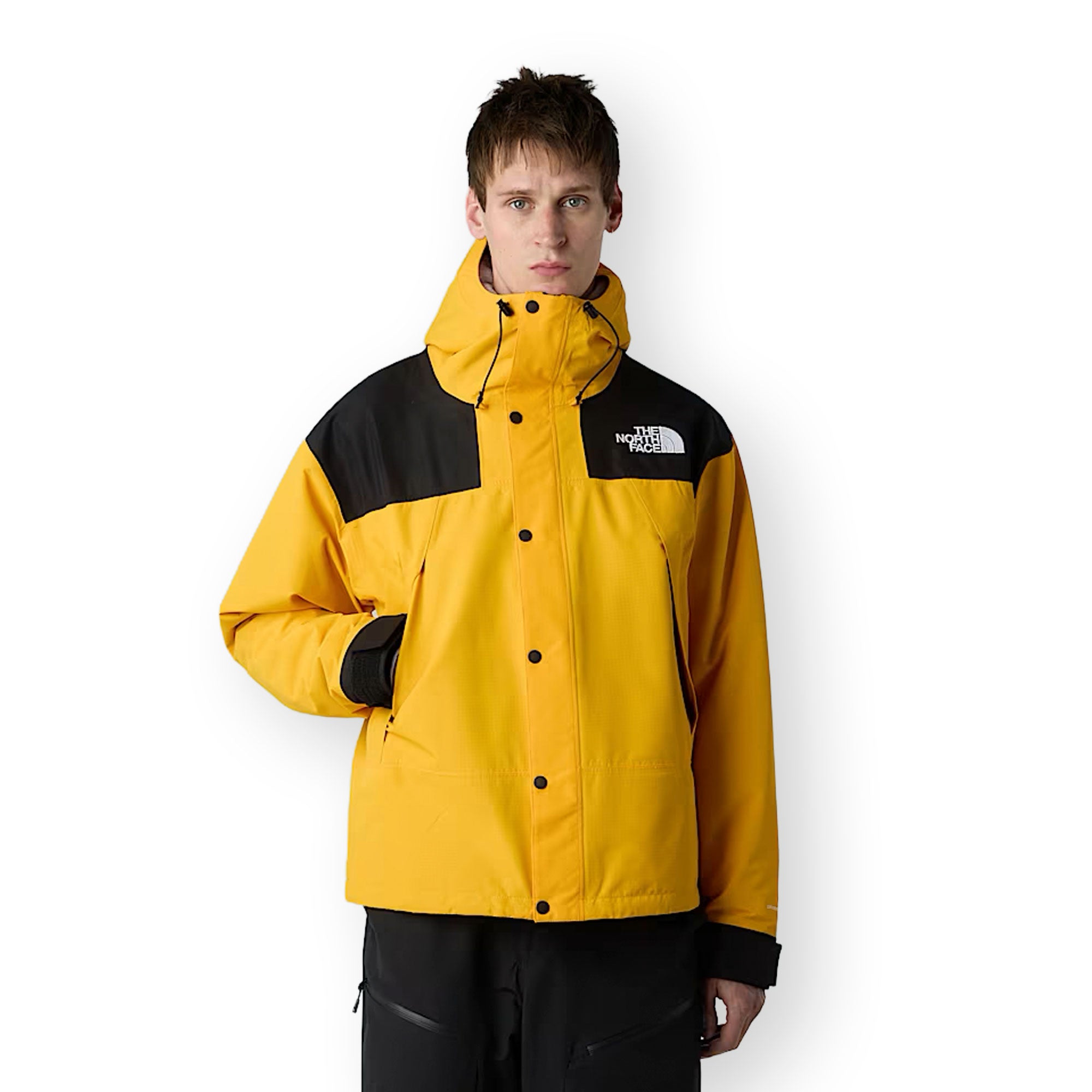 THE NORTH FACE - Mountain DryVent™ Mono - SUMITGLD