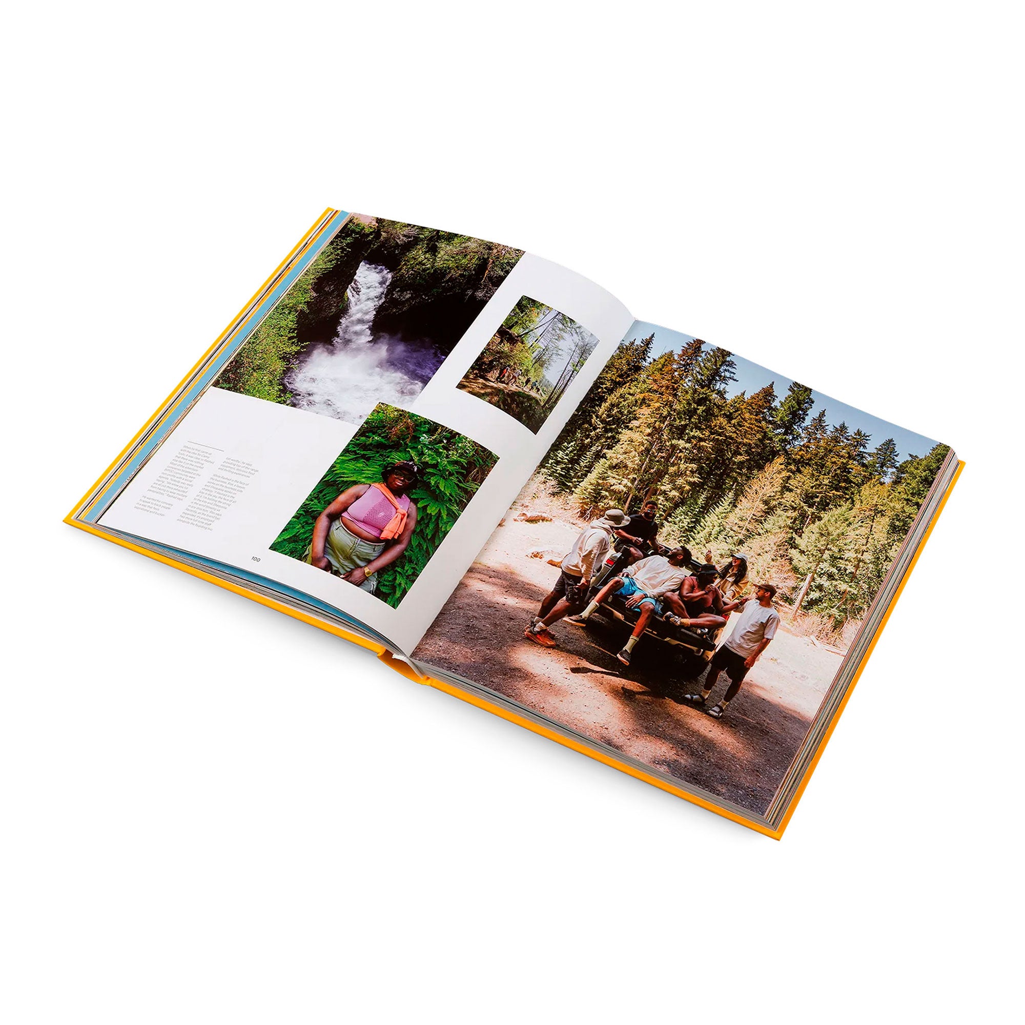 Laplaza-Skate-Shop-gestalten-book-dream-businesses
