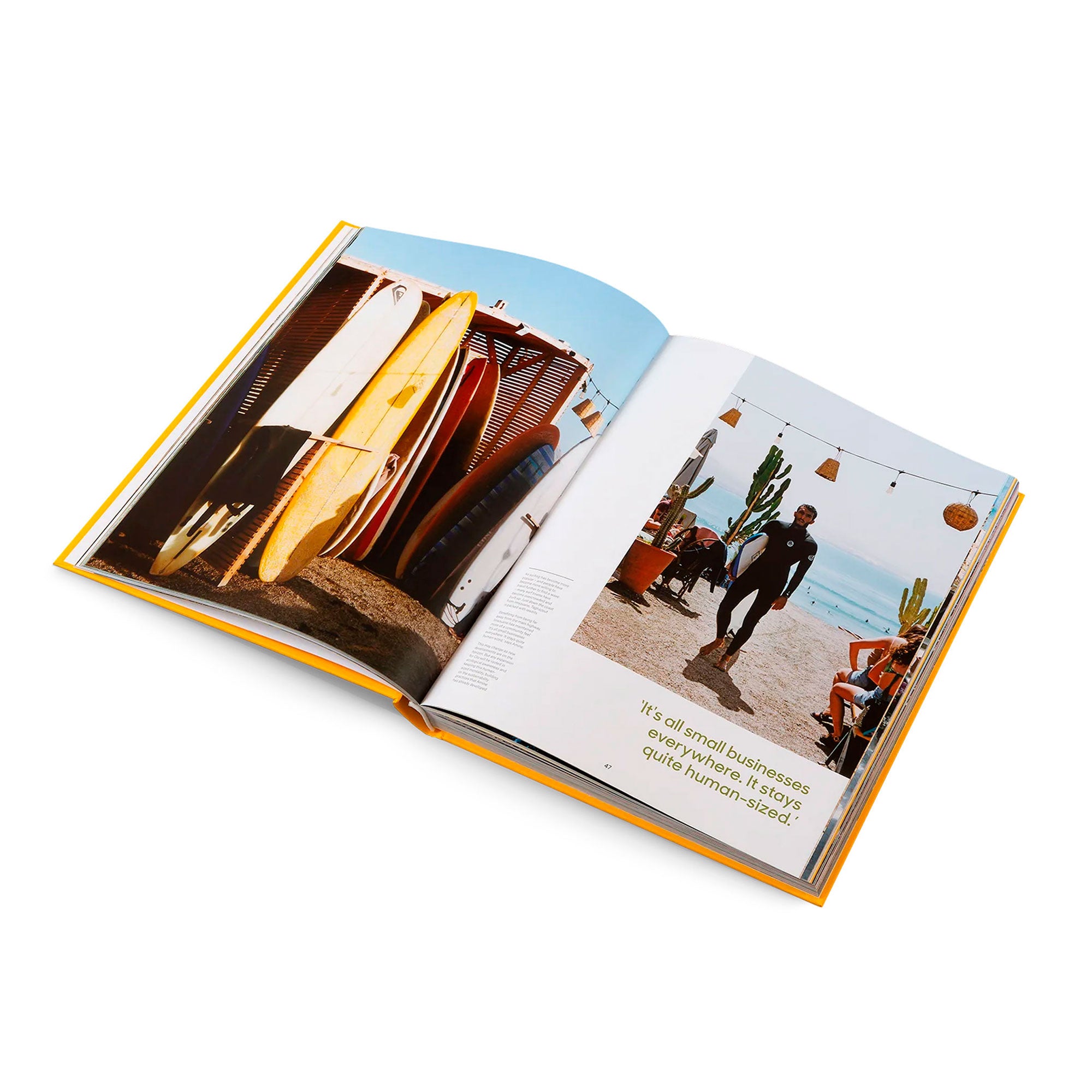 Laplaza-Skate-Shop-gestalten-book-dream-businesses